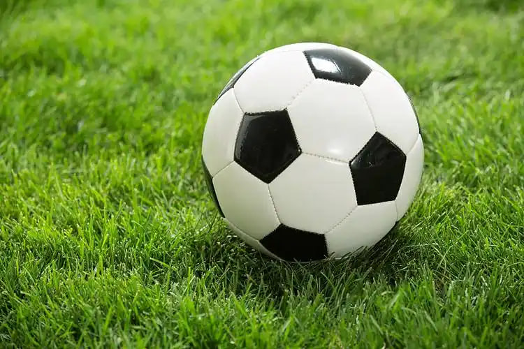 竞彩爱好者场景